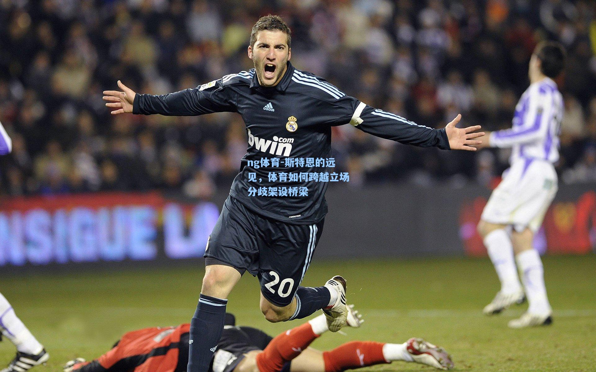 斯特恩的远见，体育如何跨越立场分歧架设桥梁